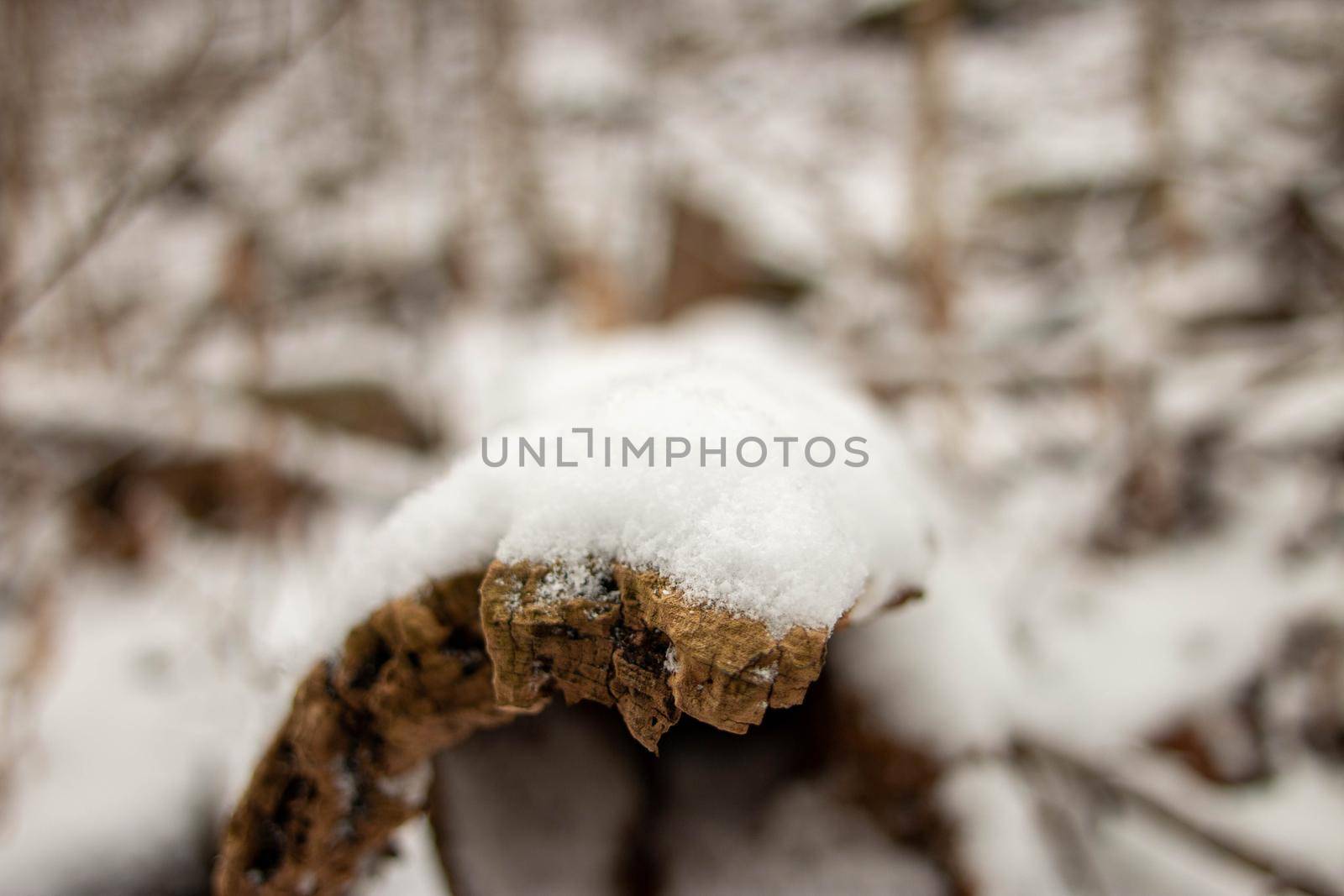 close up of snow on a log, abstract macro photo. surrealism  by mynewturtle1