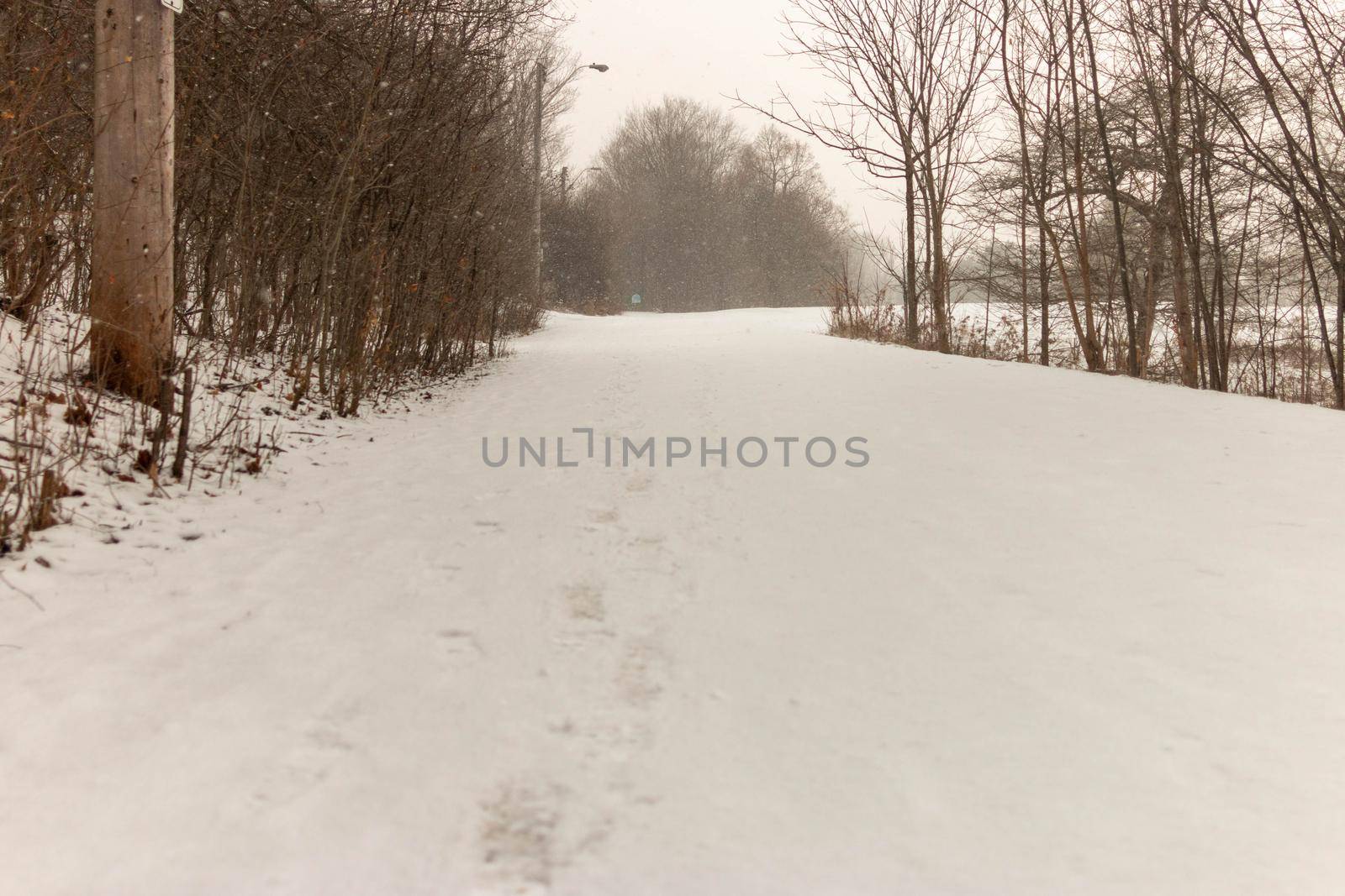 Winter landscape in Canada after a fresh snow fall . High quality photo