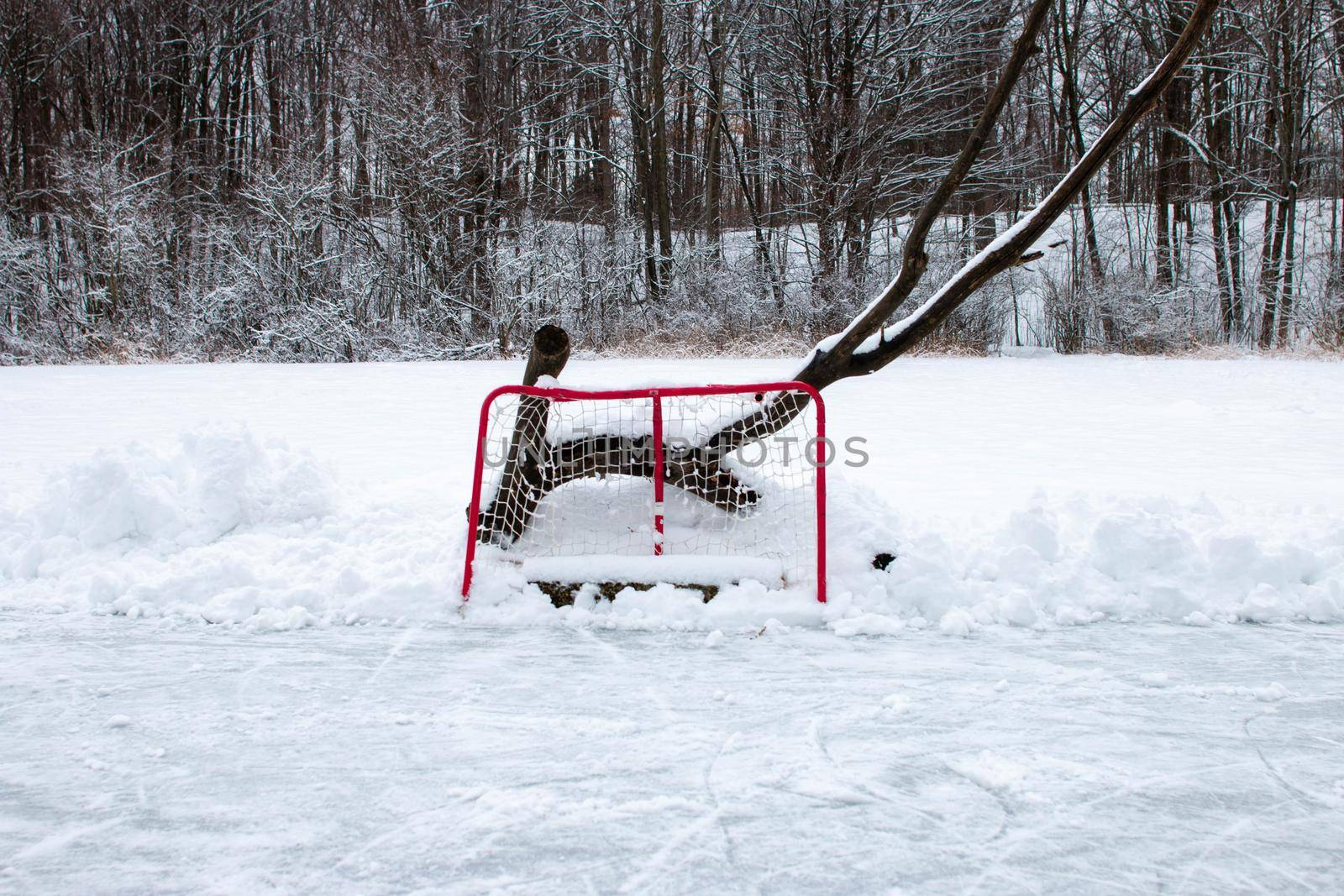 a hockey net set up on a frozen outdoor pond. Outdoor pond hockey is a canadian staple  by mynewturtle1