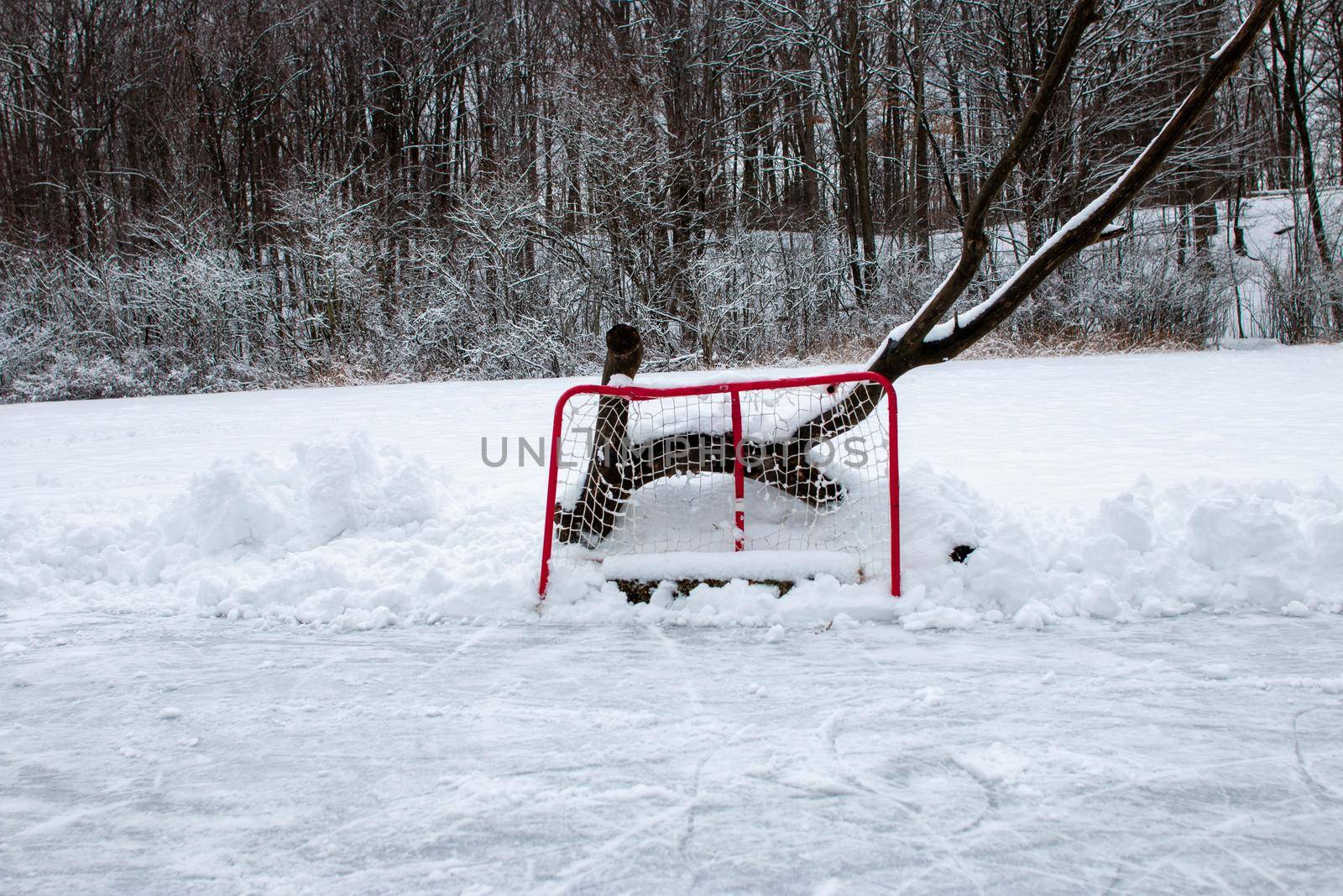 a hockey net set up on a frozen outdoor pond. Outdoor pond hockey is a canadian staple . High quality photo