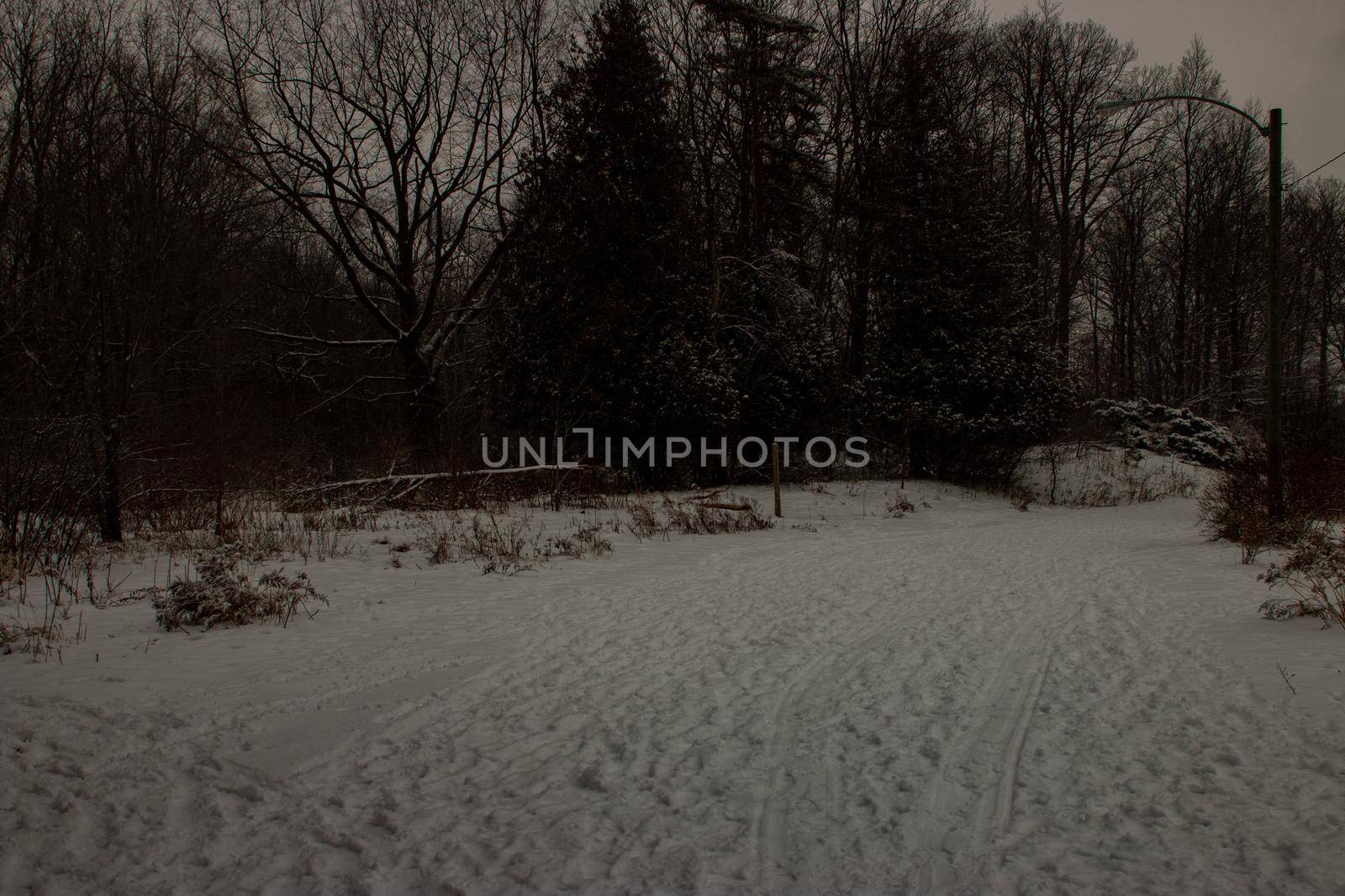 Winter hiking in London Ontario Canada. High quality photo