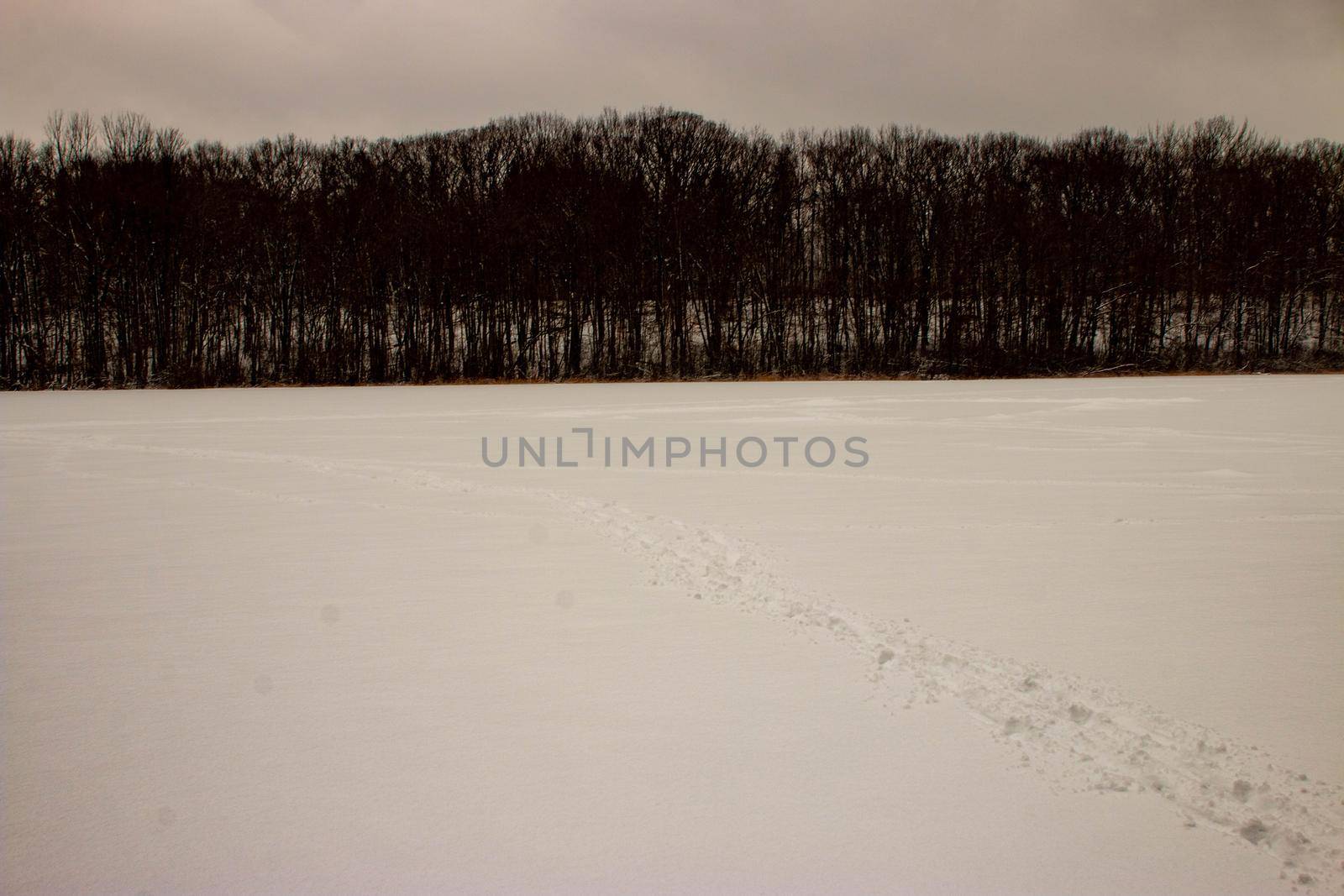 WINTER PANORAMIC PHOTOS FROM A FROZEN POND  by mynewturtle1