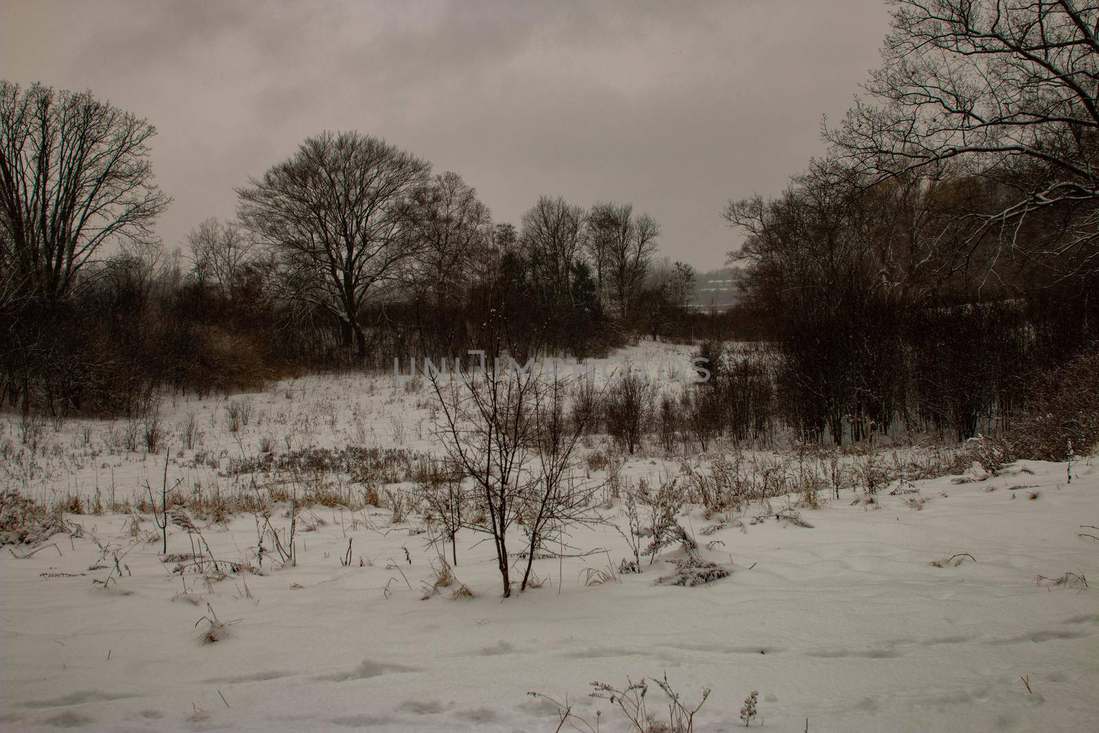 Winter hiking in London Ontario Canada. High quality photo