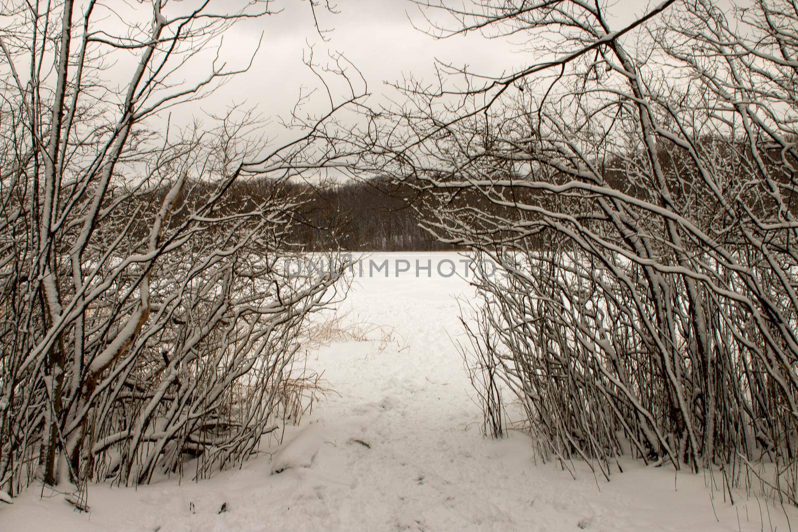 entering the frozen abyss. A winter surrealism photo . High quality photo