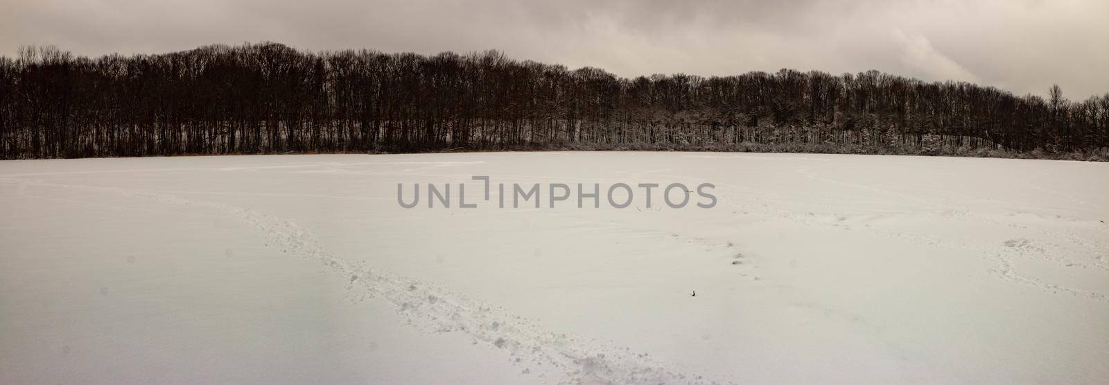 WINTER PANORAMIC PHOTOS FROM A FROZEN POND  by mynewturtle1