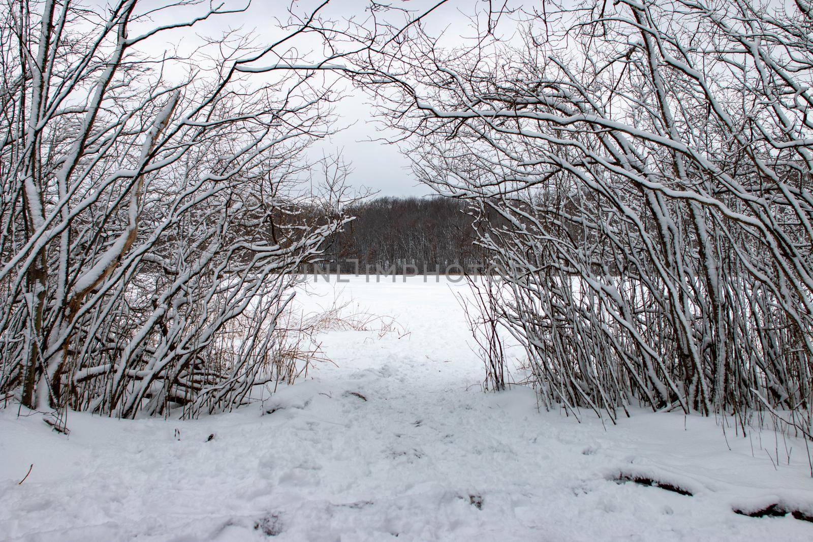 entering the frozen abyss. A winter surrealism photo  by mynewturtle1