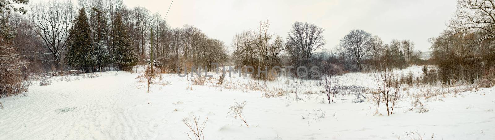 winter surrealism landscape photography in London Canada . High quality photo