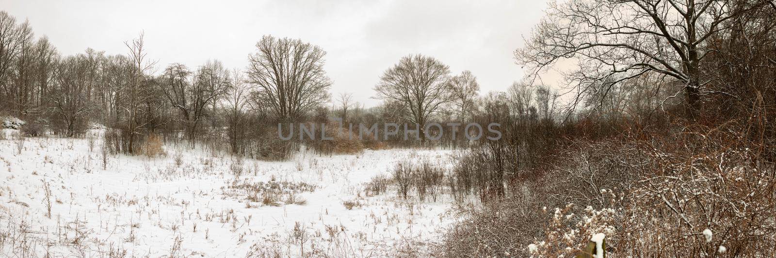 minimalist winter landscape panorama style photo. Unique perspective by mynewturtle1