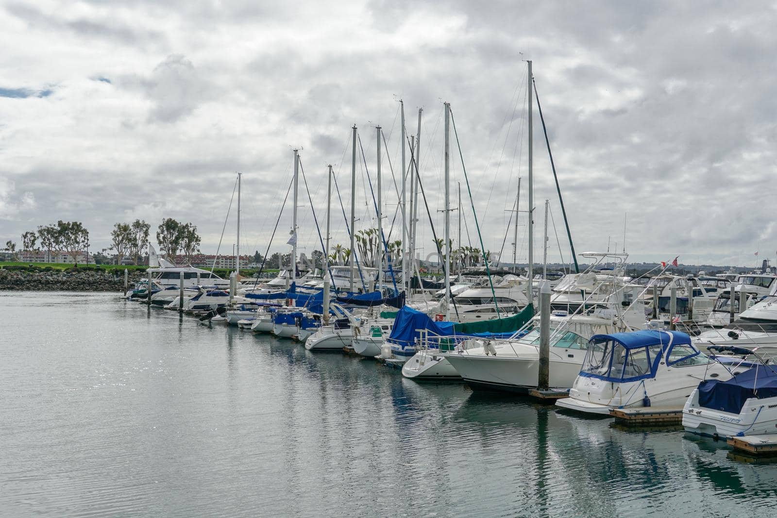 Boats moored at Embarcadero Marina Park North, San Diego.  by Bonandbon