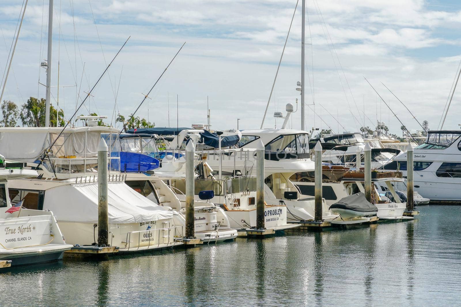 Boats moored at Embarcadero Marina Park North, San Diego.  by Bonandbon