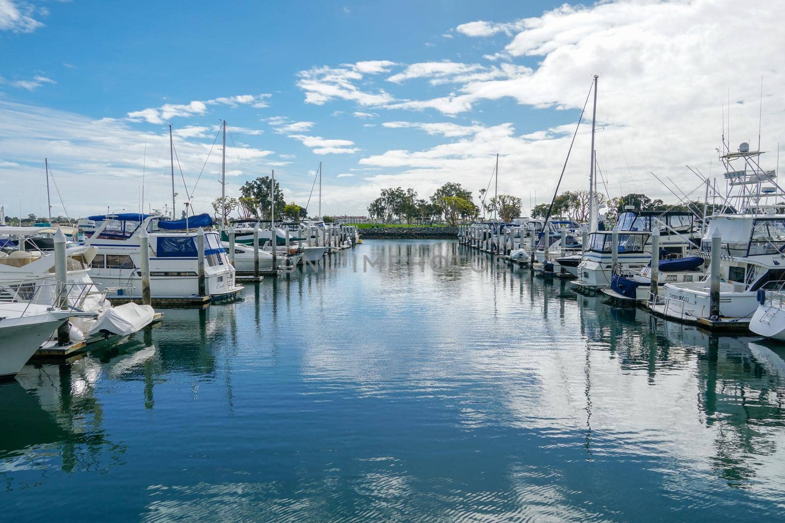 Boats moored at Embarcadero Marina Park North, San Diego.  by Bonandbon