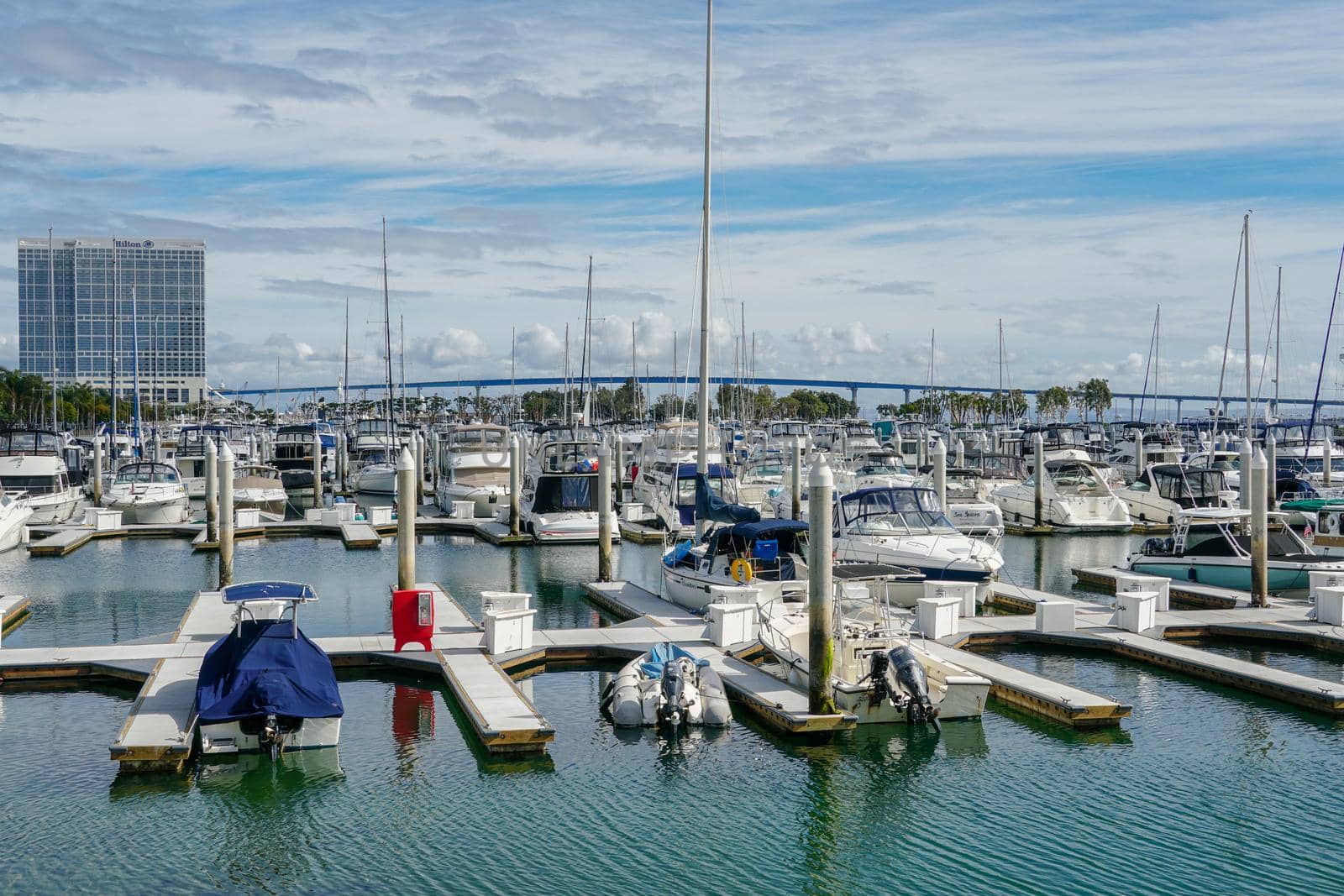 Boats moored at Embarcadero Marina Park North, San Diego.  by Bonandbon