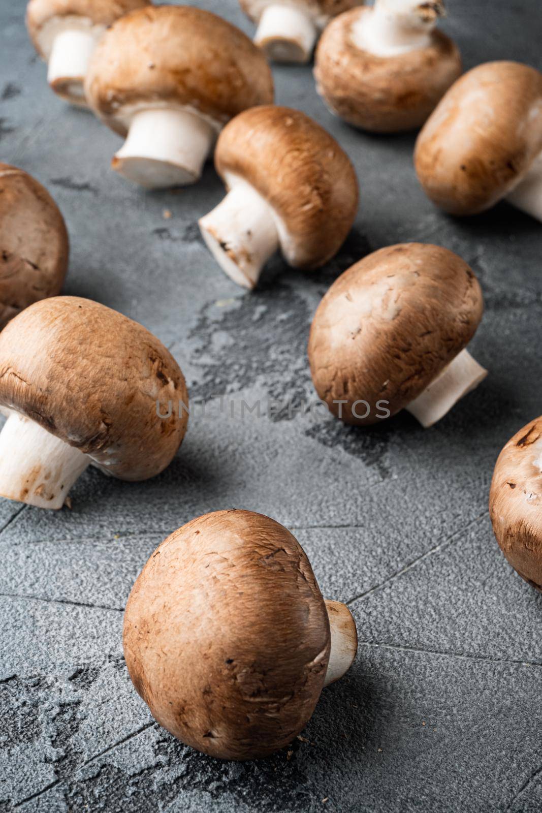 Royal mushrooms champignon whole set, on gray background