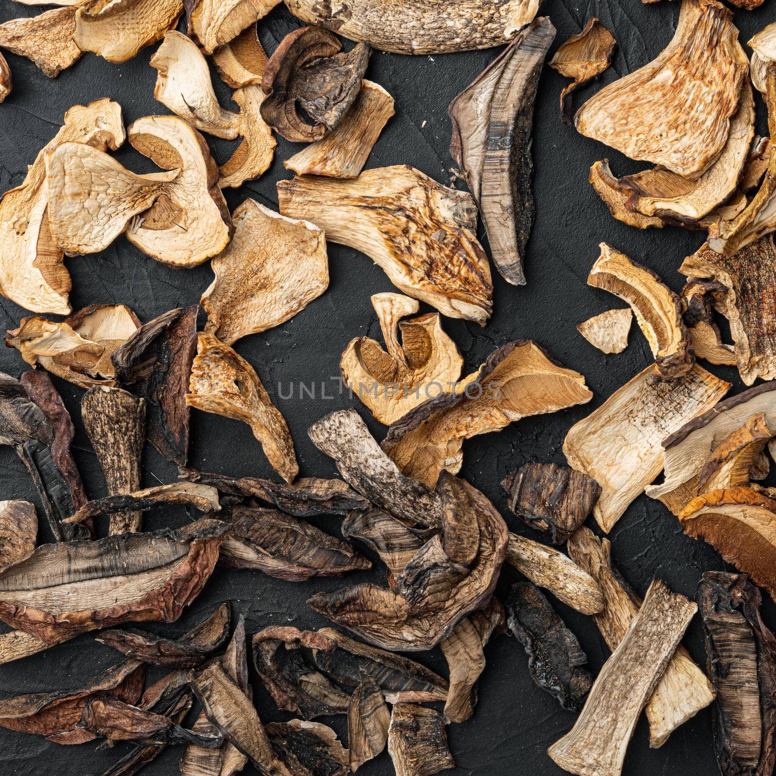 Set of dried mushrooms, on black background, top view flat lay by Ilianesolenyi