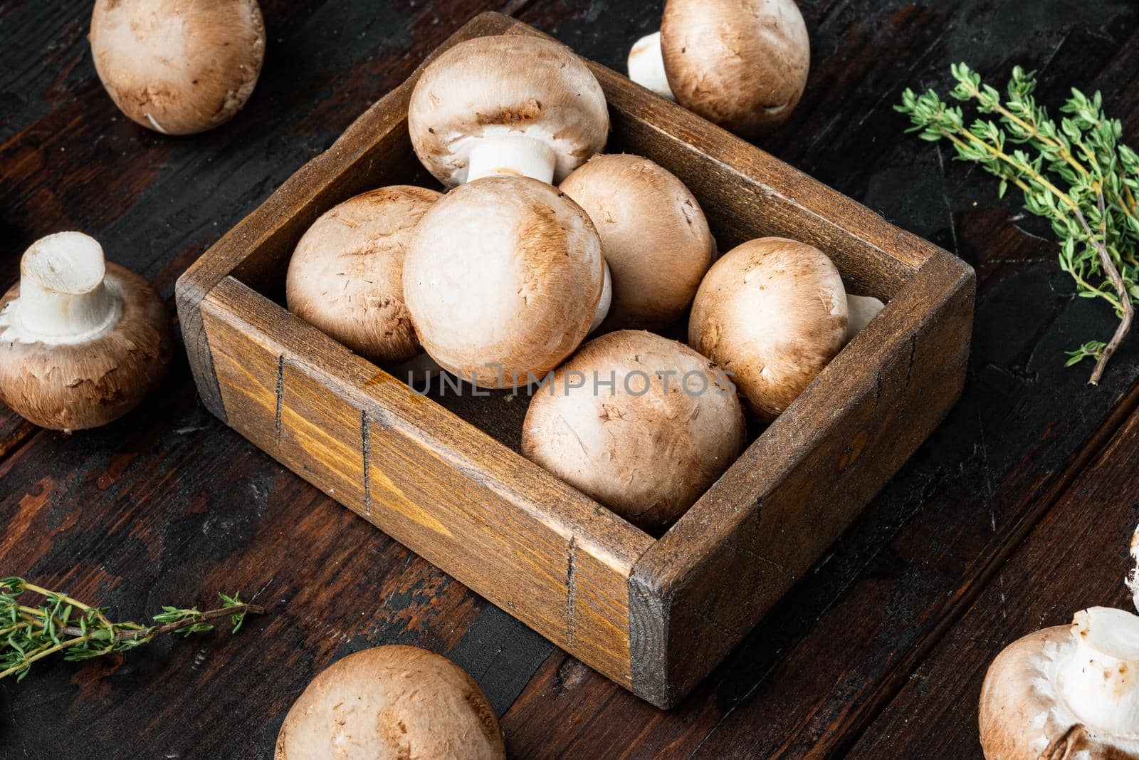 Brown champignons mushroom set, on old dark wooden table background