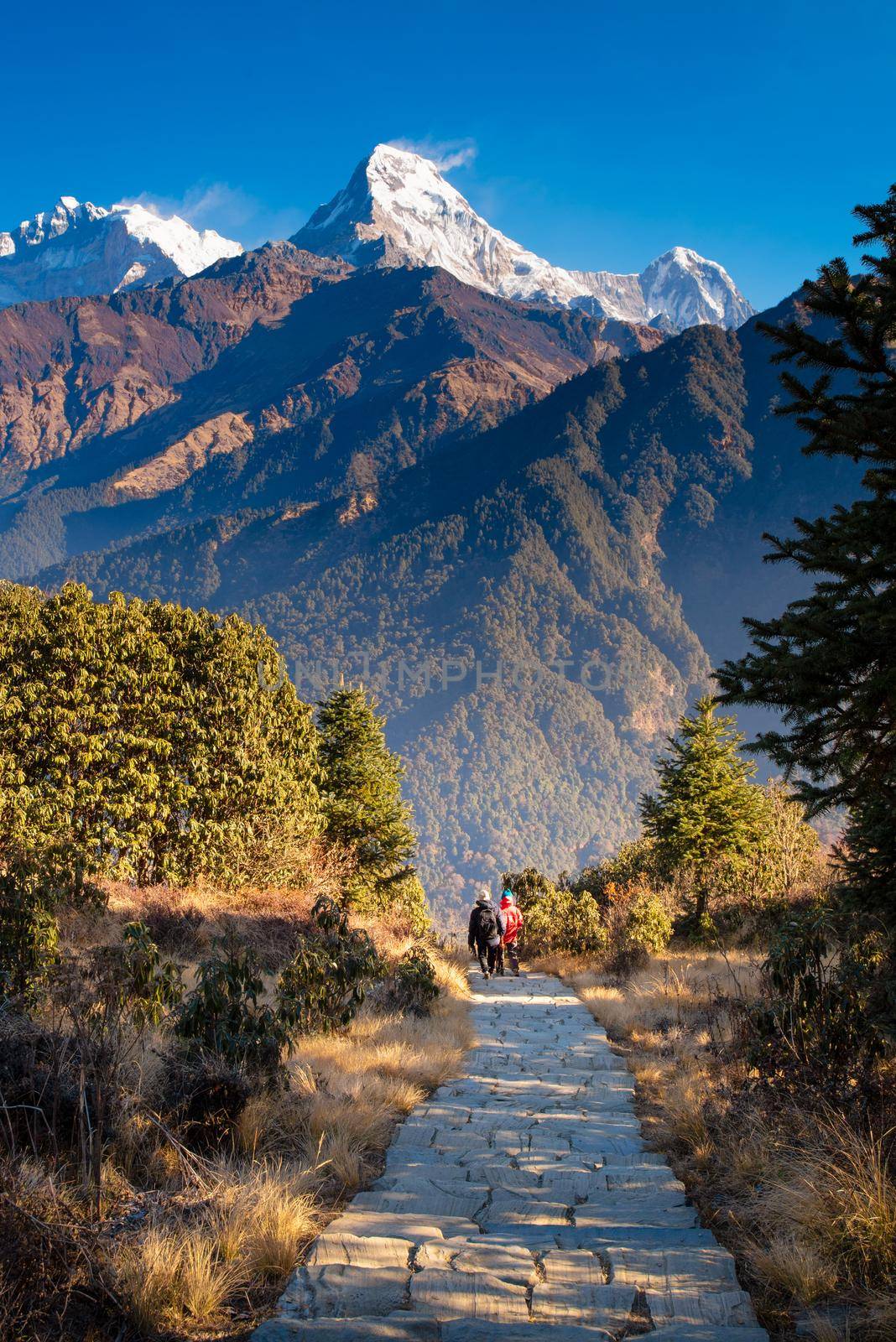 Walking trail to Poon hill view point at Nepal by Nuamfolio