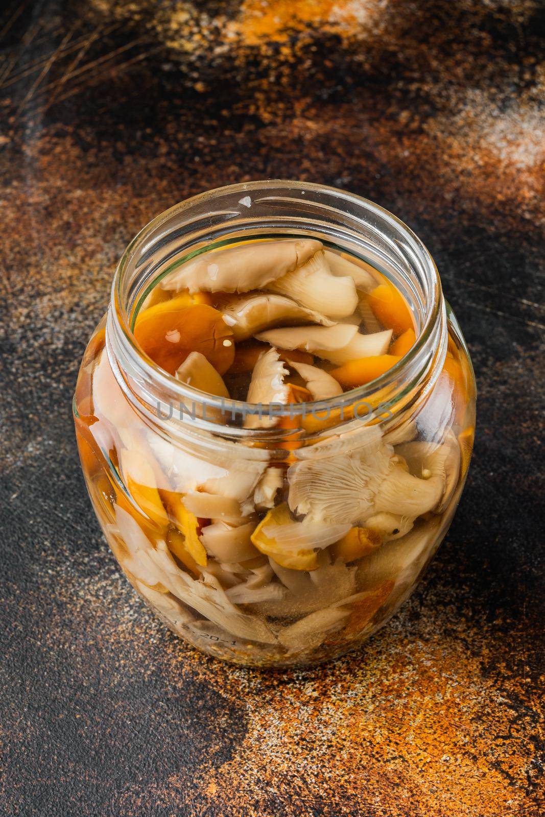Fermented food: Mushroom preservation set, on old dark rustic background