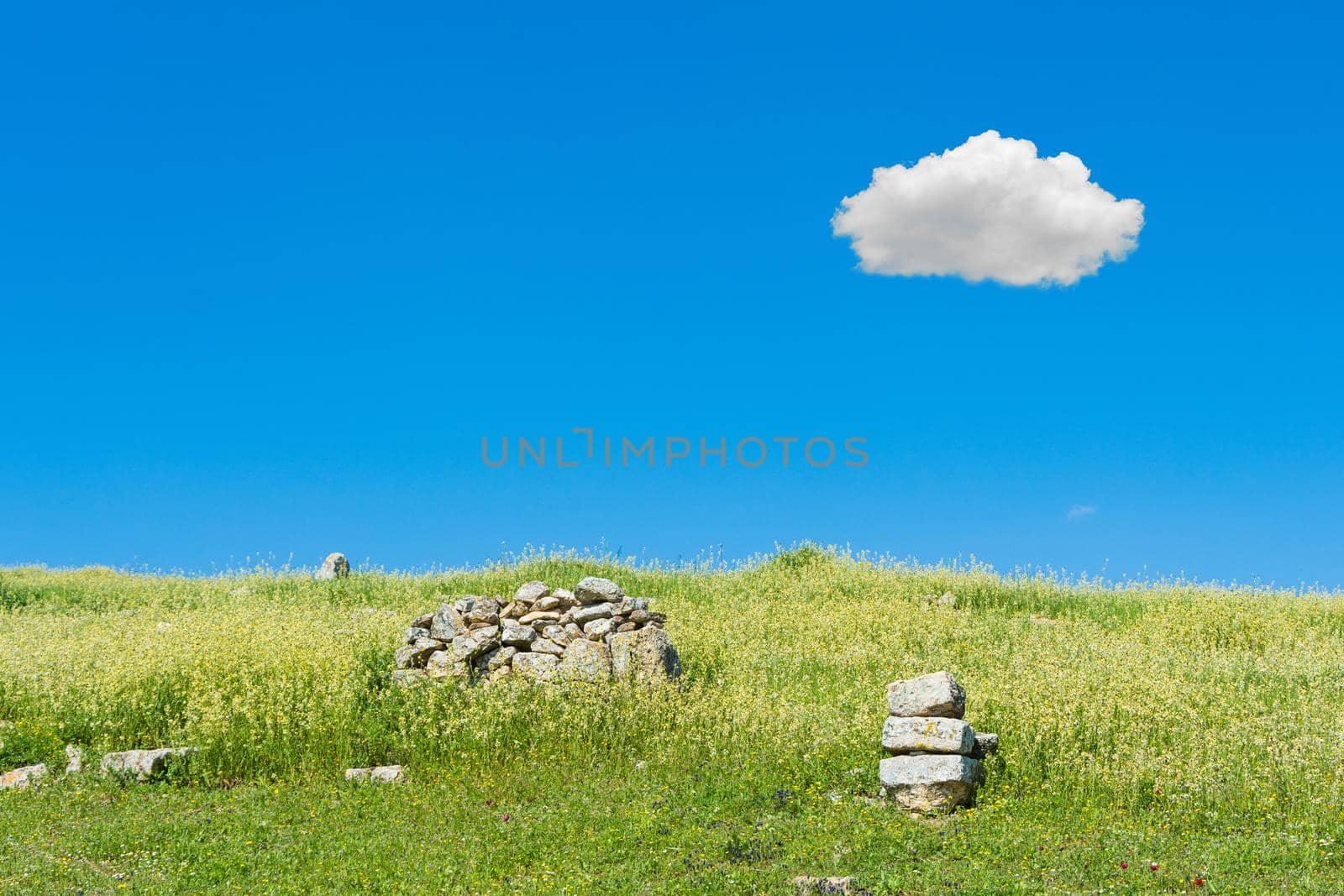 Beautiful nature green field with clear sky and single cloud in summer season  by Nuamfolio