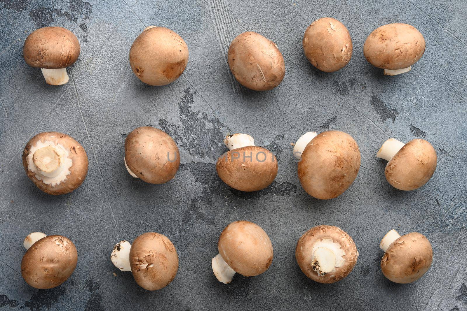 Royal mushrooms champignon whole set, on gray background, top view flat lay