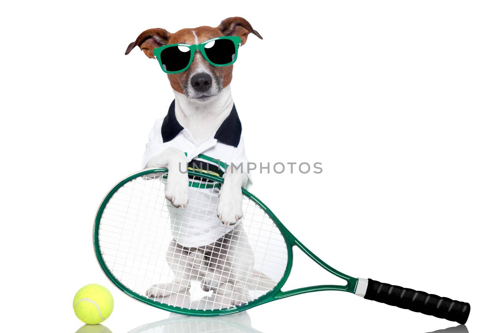 tennis dog with racket and glasses