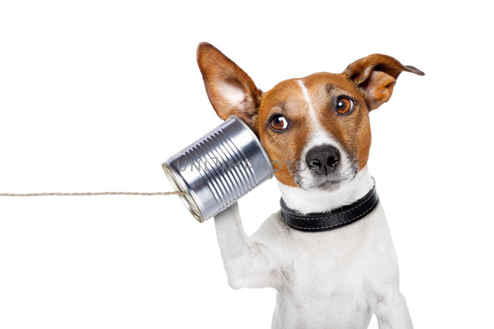 dog on the phone by Brosch