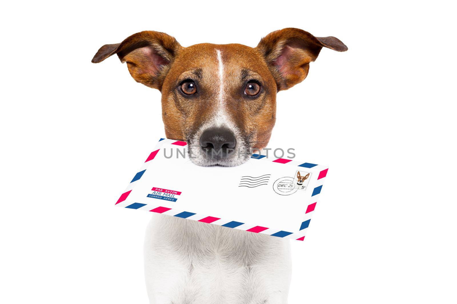 dog with glasses delivering air mail envelope with stamp