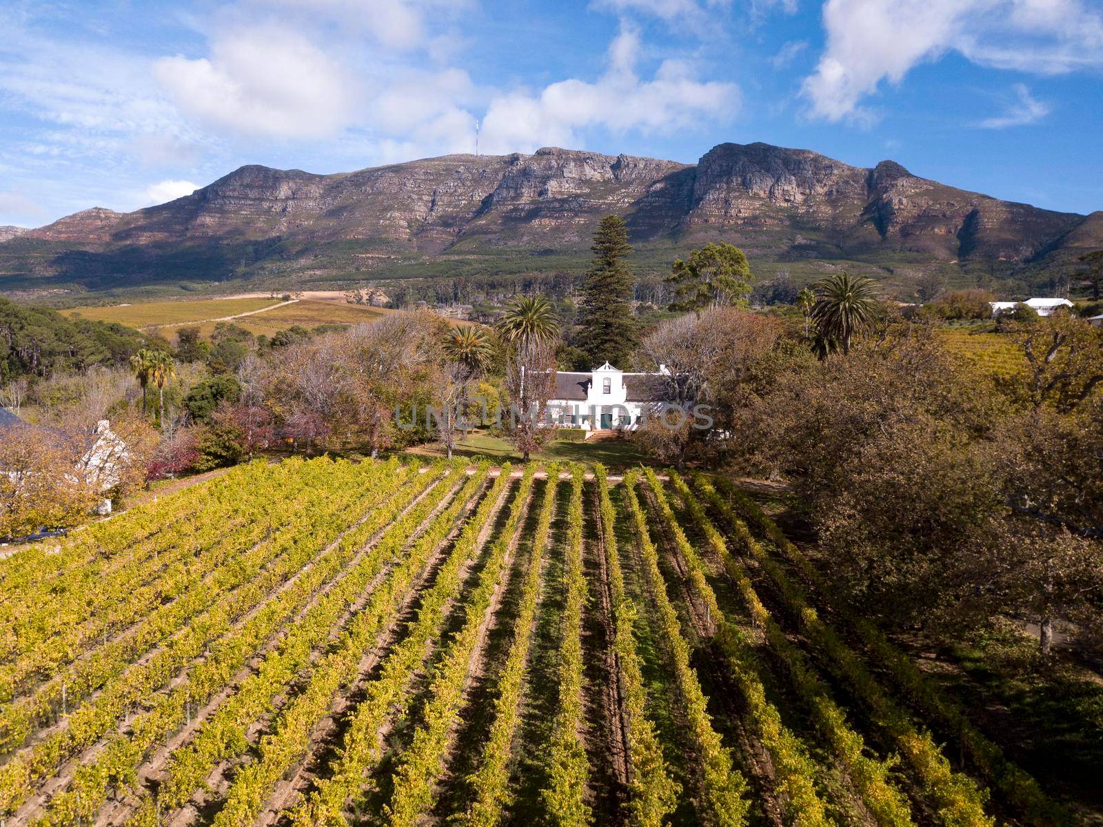 Aerial of a wine farm in Cape Town, South Africa by fivepointsix