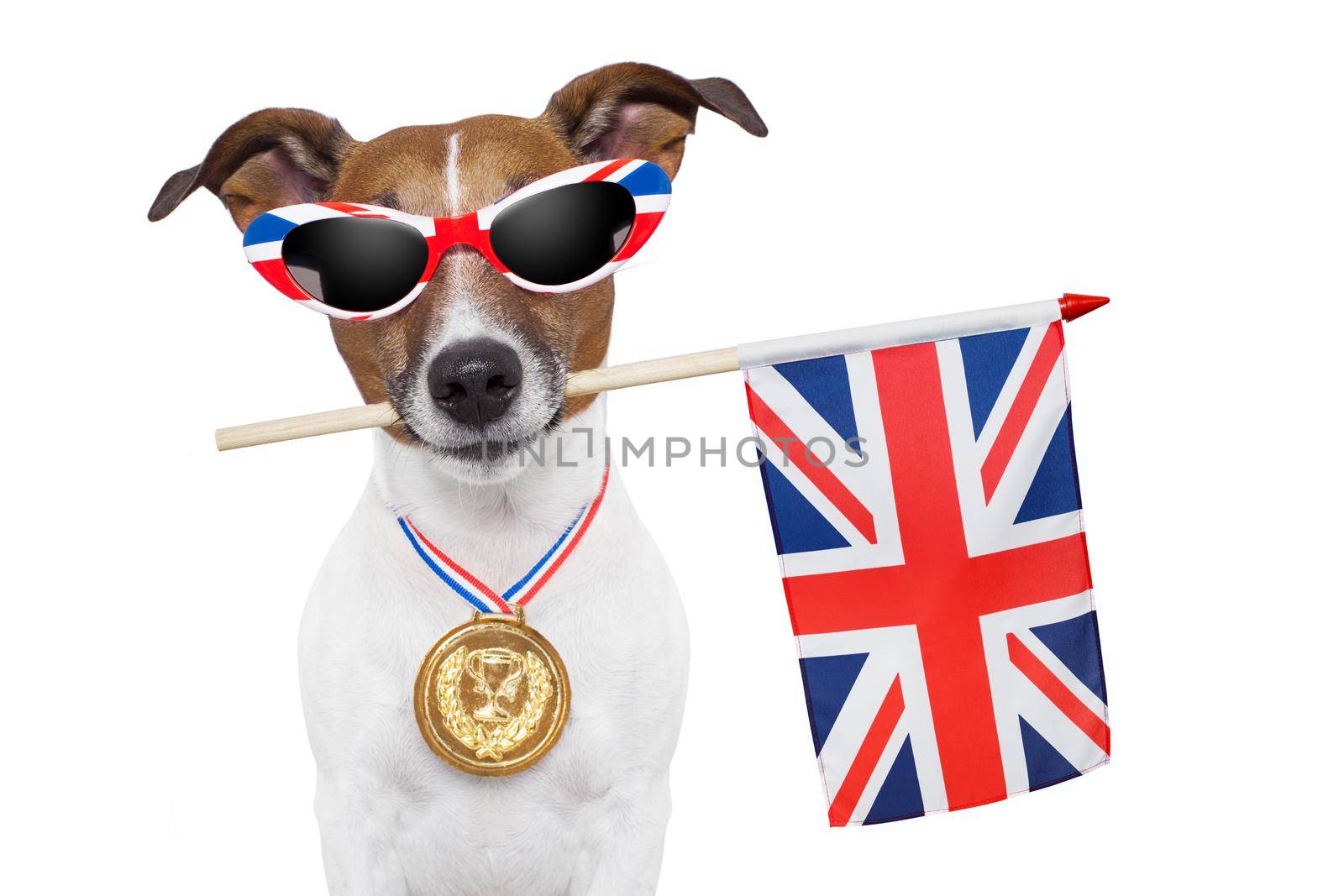 olympic dog with the great britain flag