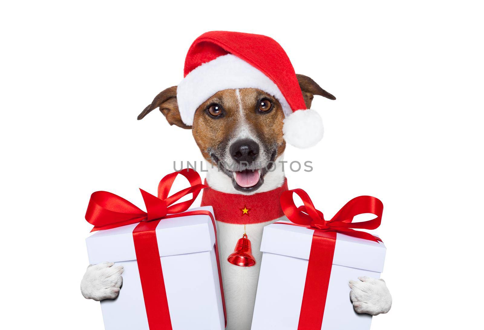 santa christmas dog with gifts
