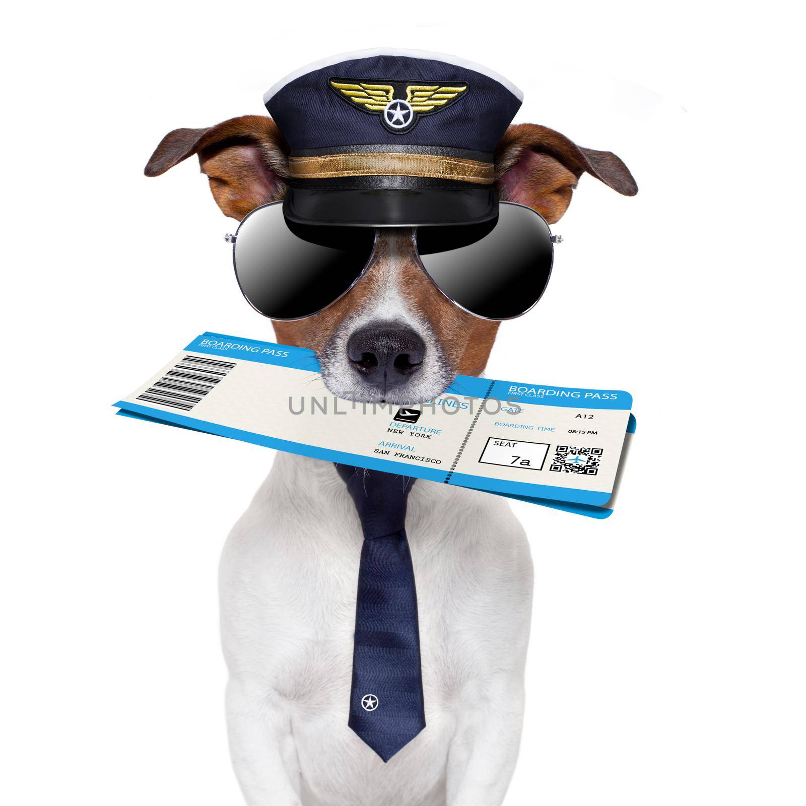 boarding pass dog  by Brosch