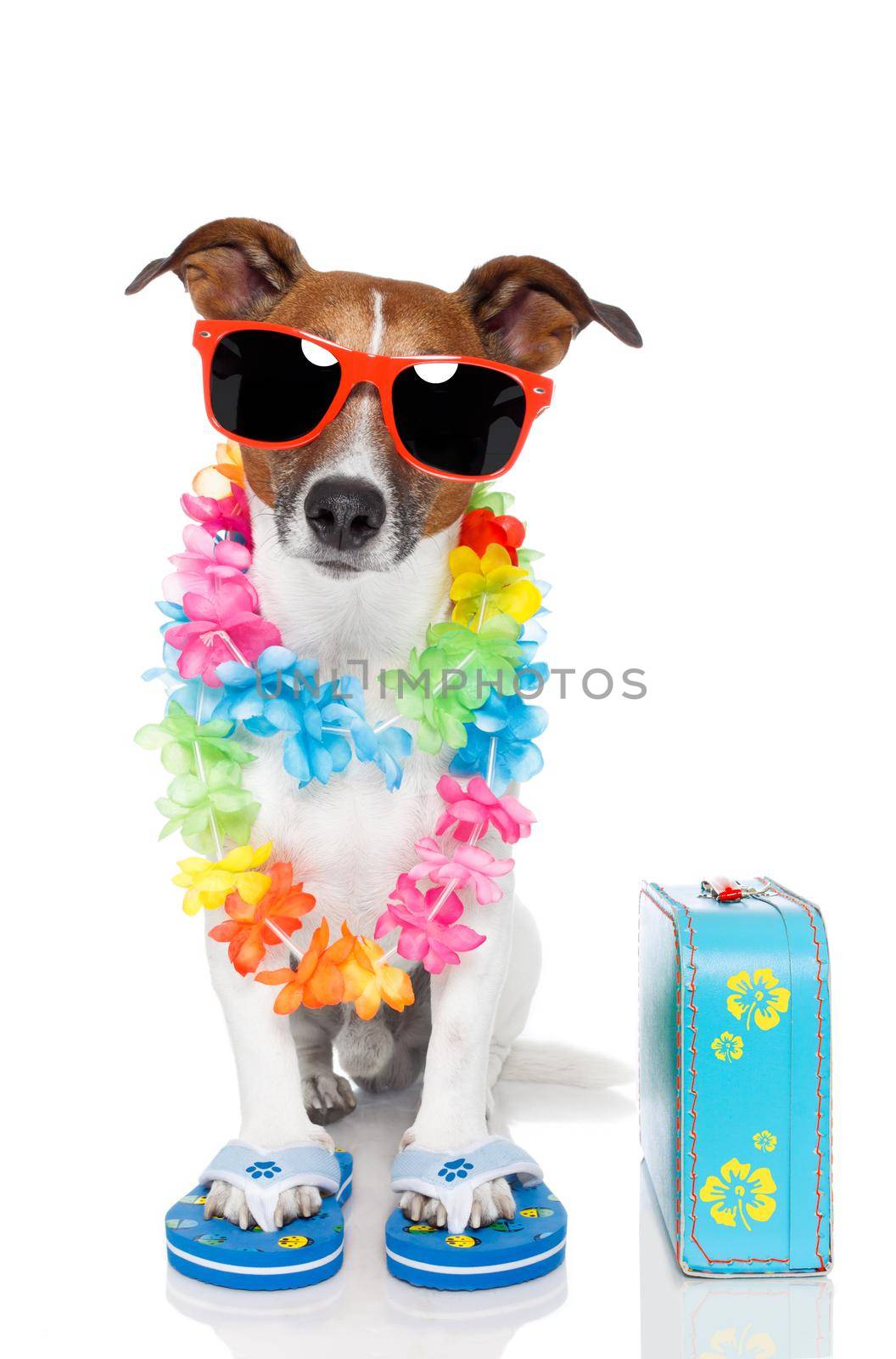 tourist dog with hawaiian  lei and a bag by Brosch