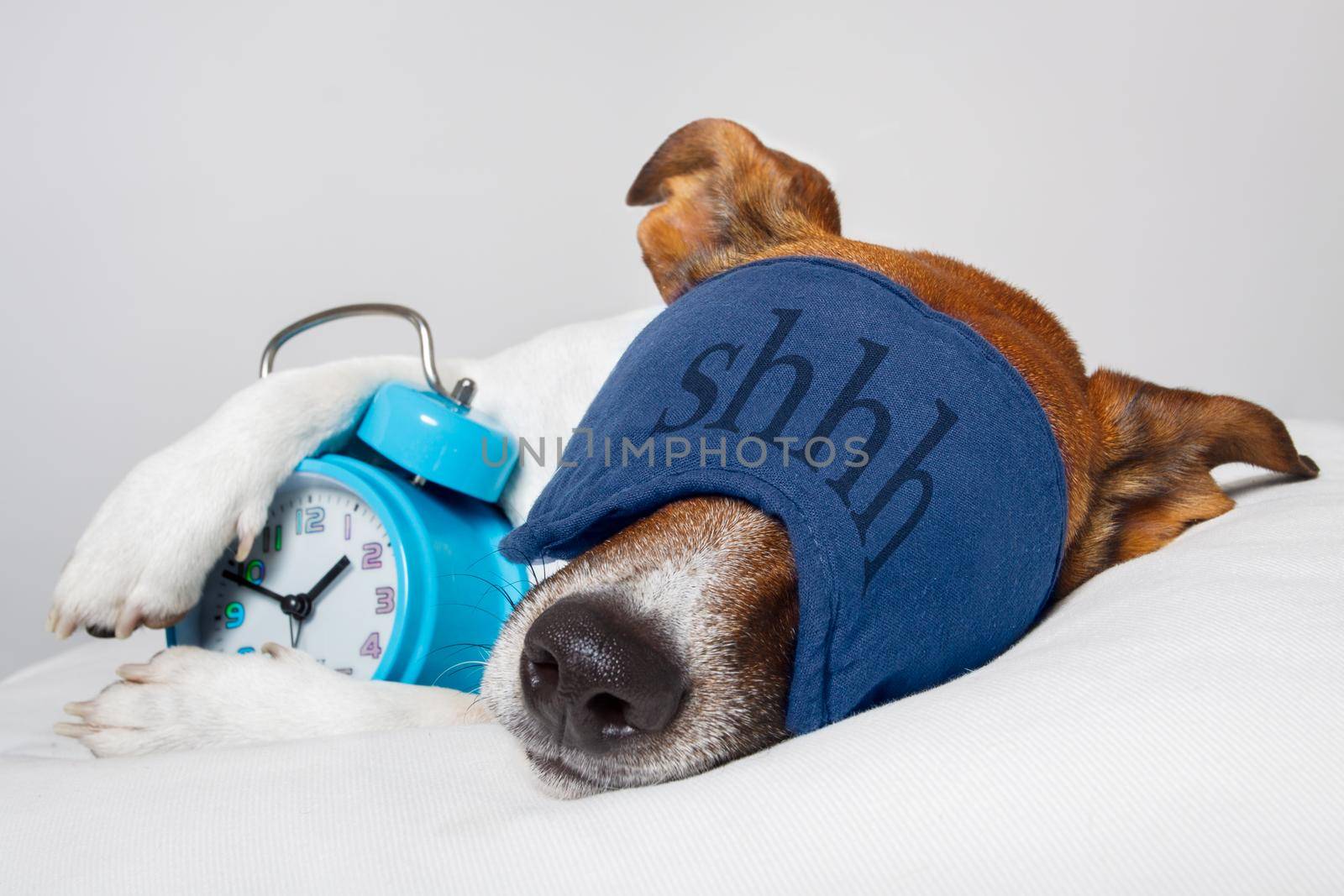 Dog sleeping with alarm clock and sleeping mask by Brosch
