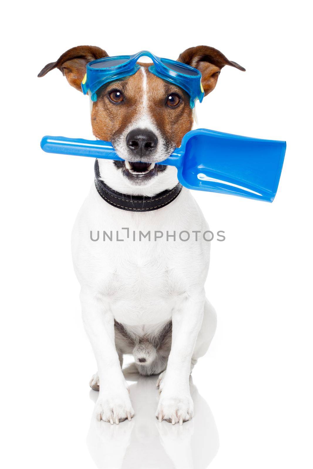 dog with goggles and a shovel by Brosch