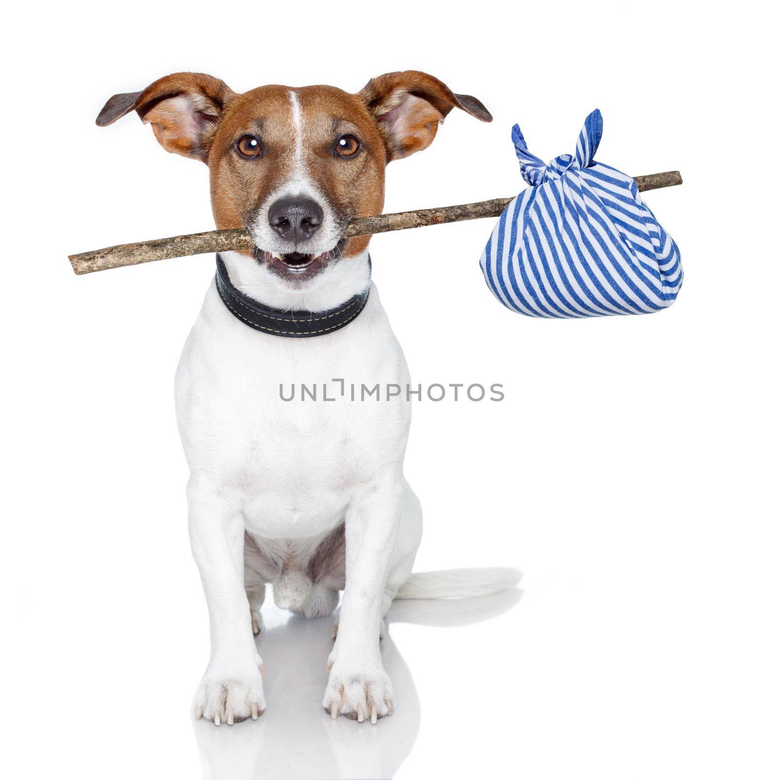 dog with a stick and a blue bag by Brosch