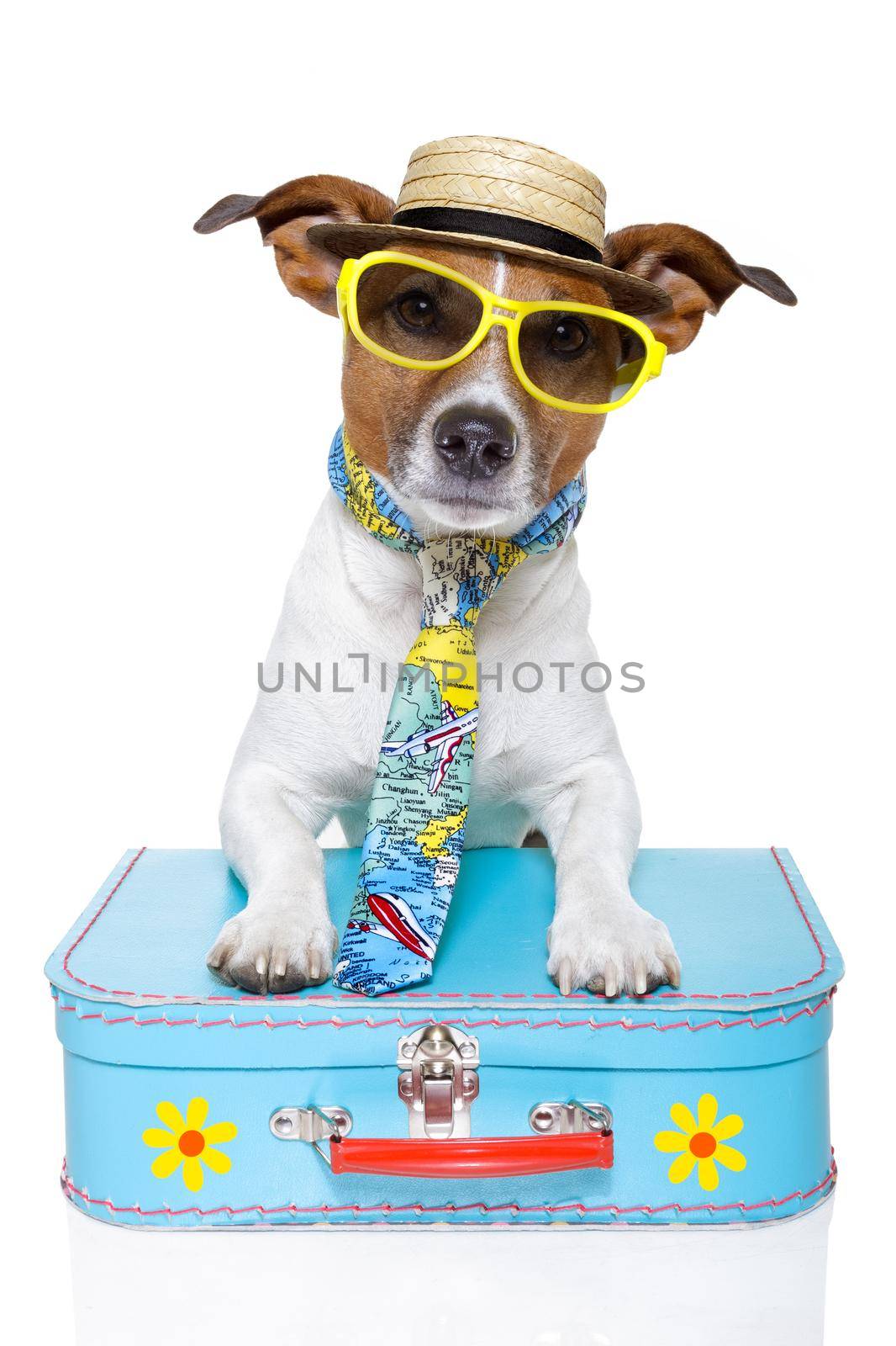 vacation tourist dog by Brosch