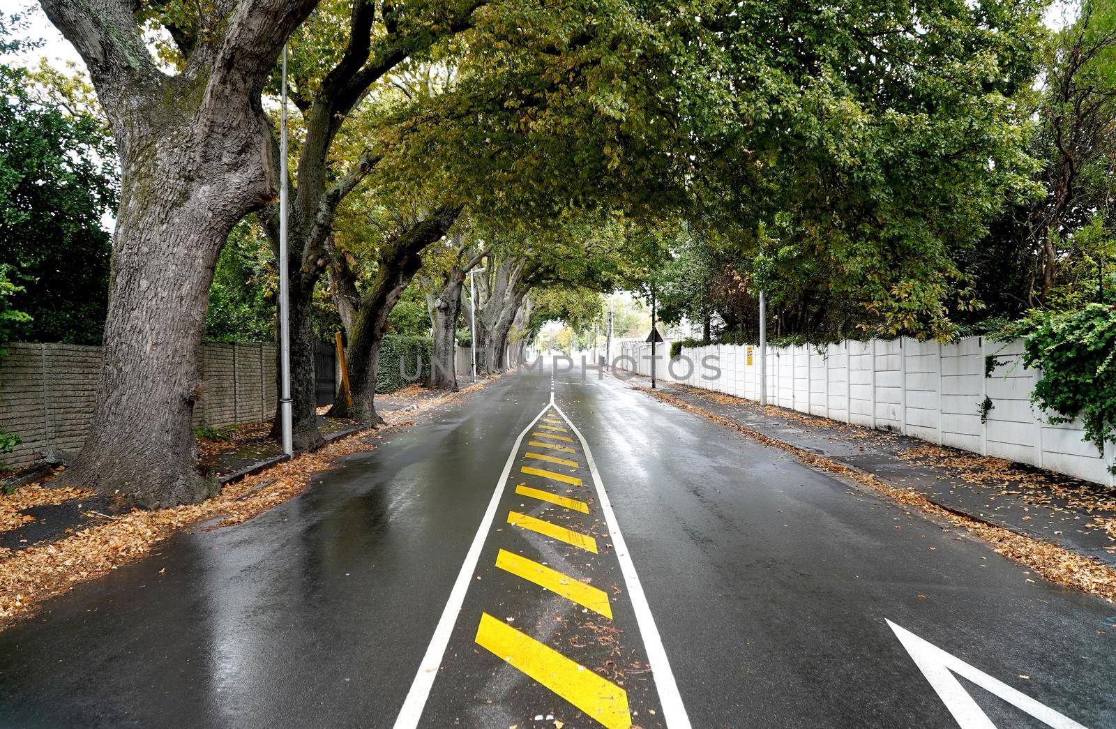 Cape Town, South Africa - 16 April 2020 : Empty streets of Cape town, South Africa during the lock down.