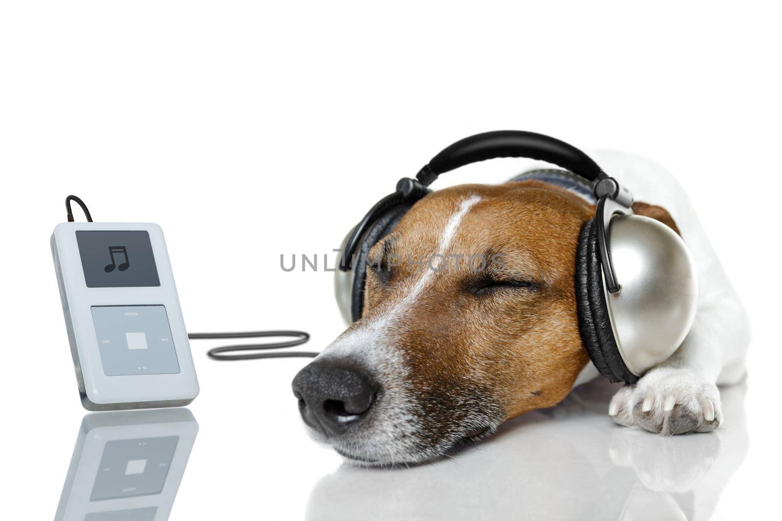 Dog listen to music with a music player by Brosch