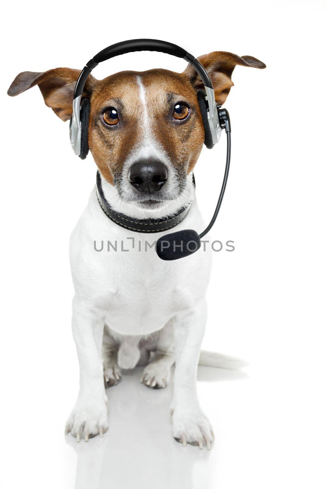dog headset by Brosch