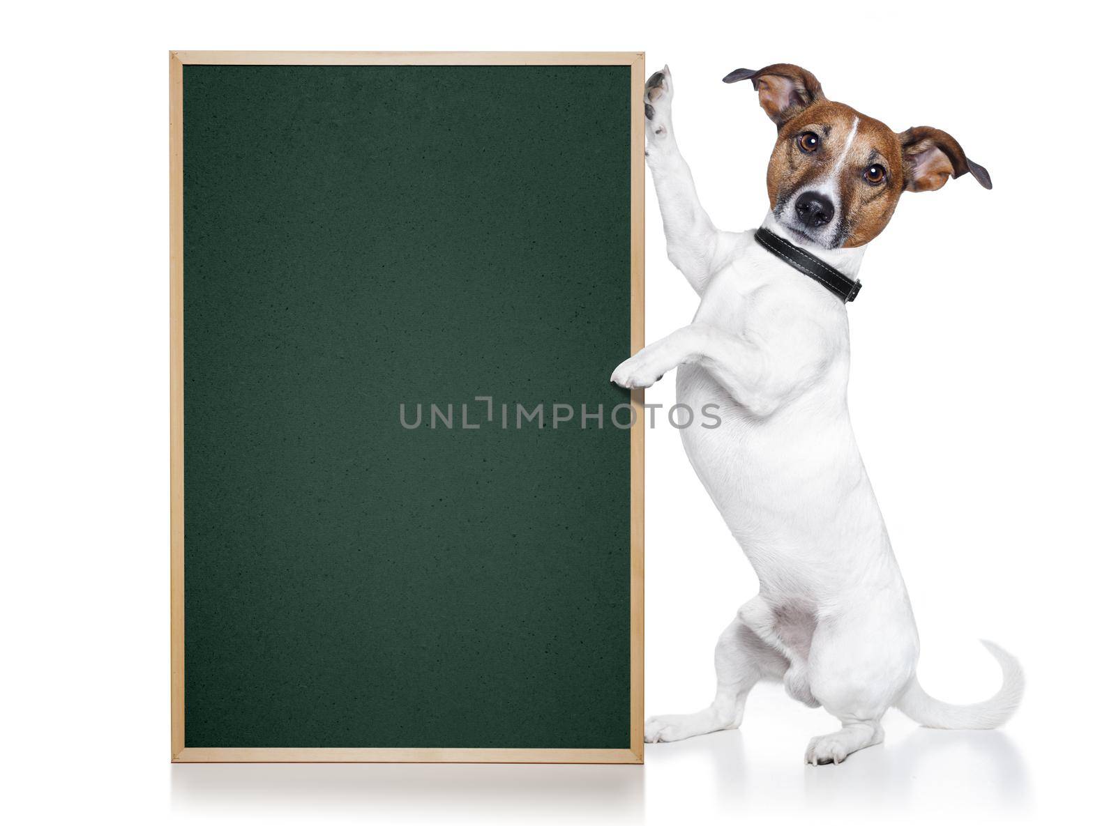 banner placeholder dog  by Brosch