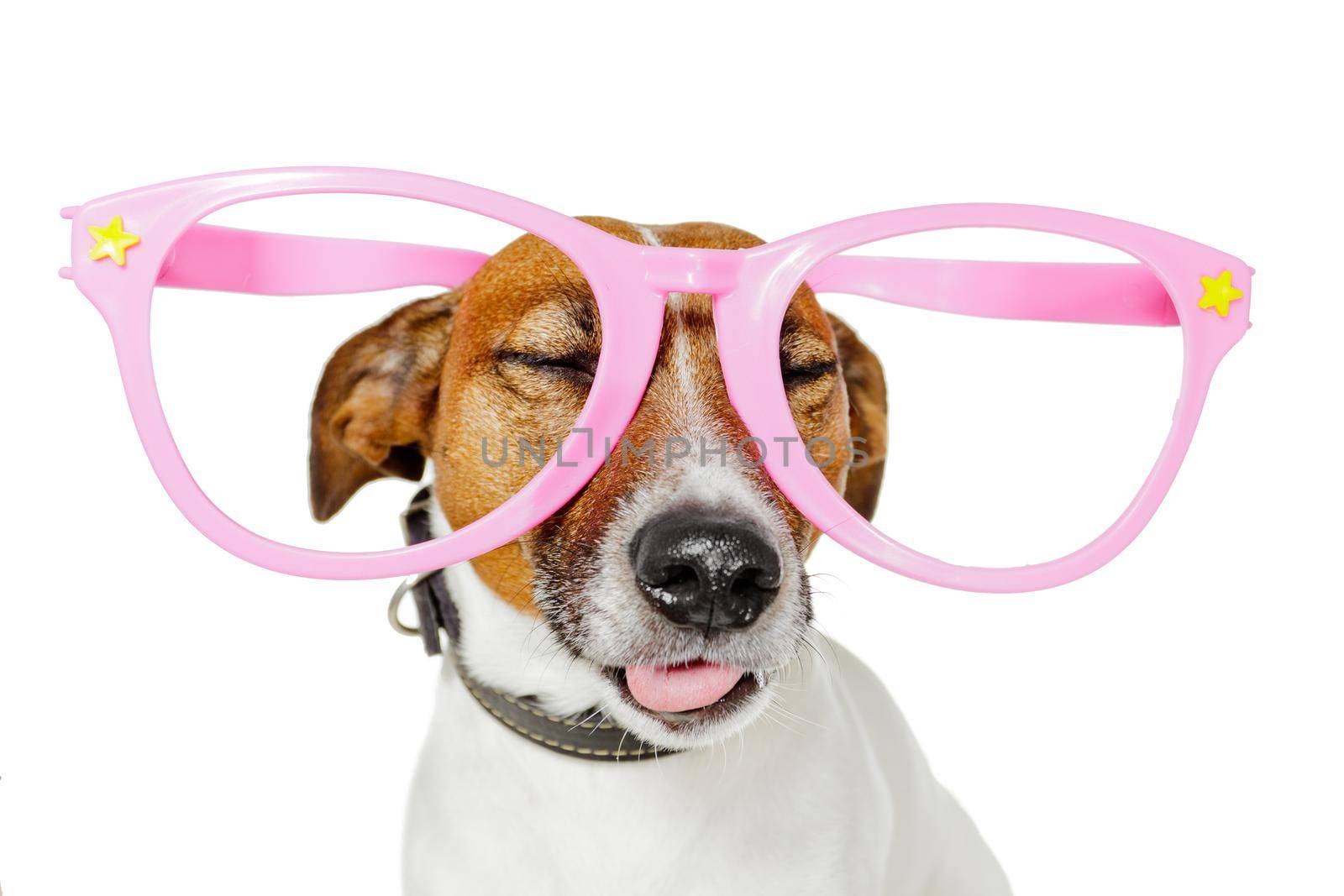 funny glasses dog  by Brosch