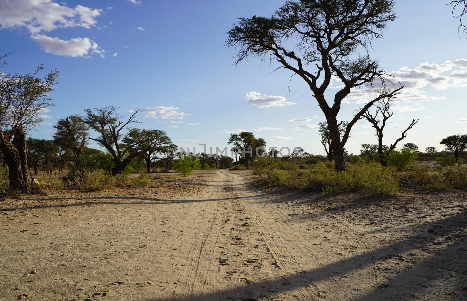 Long dirt road in the open Savannah, Africa by fivepointsix