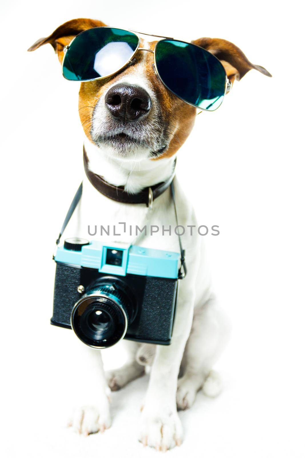 dog photo camera by Brosch