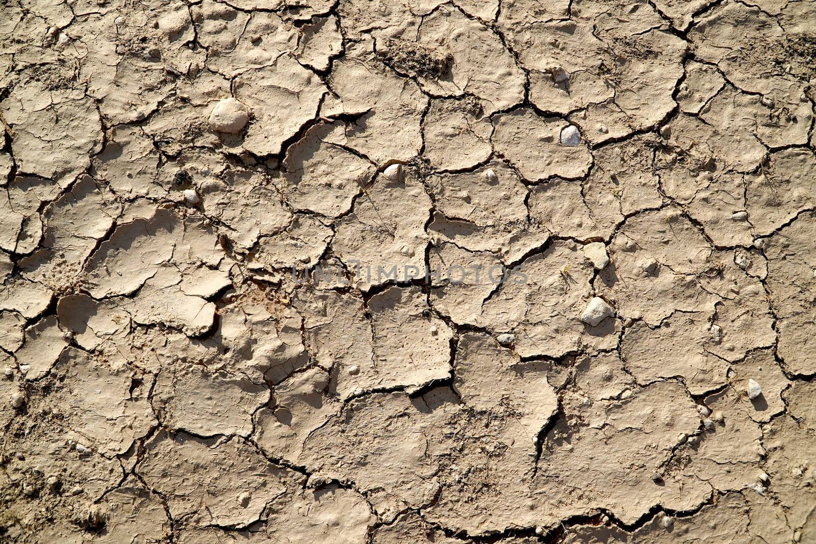 Dry and cracked mud in a river bed by fivepointsix