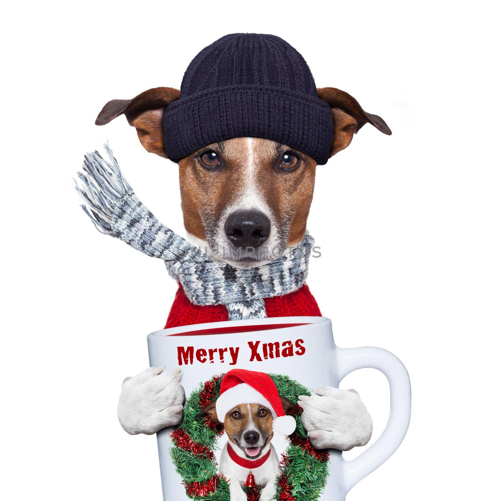 christmas dog with cup and scarf