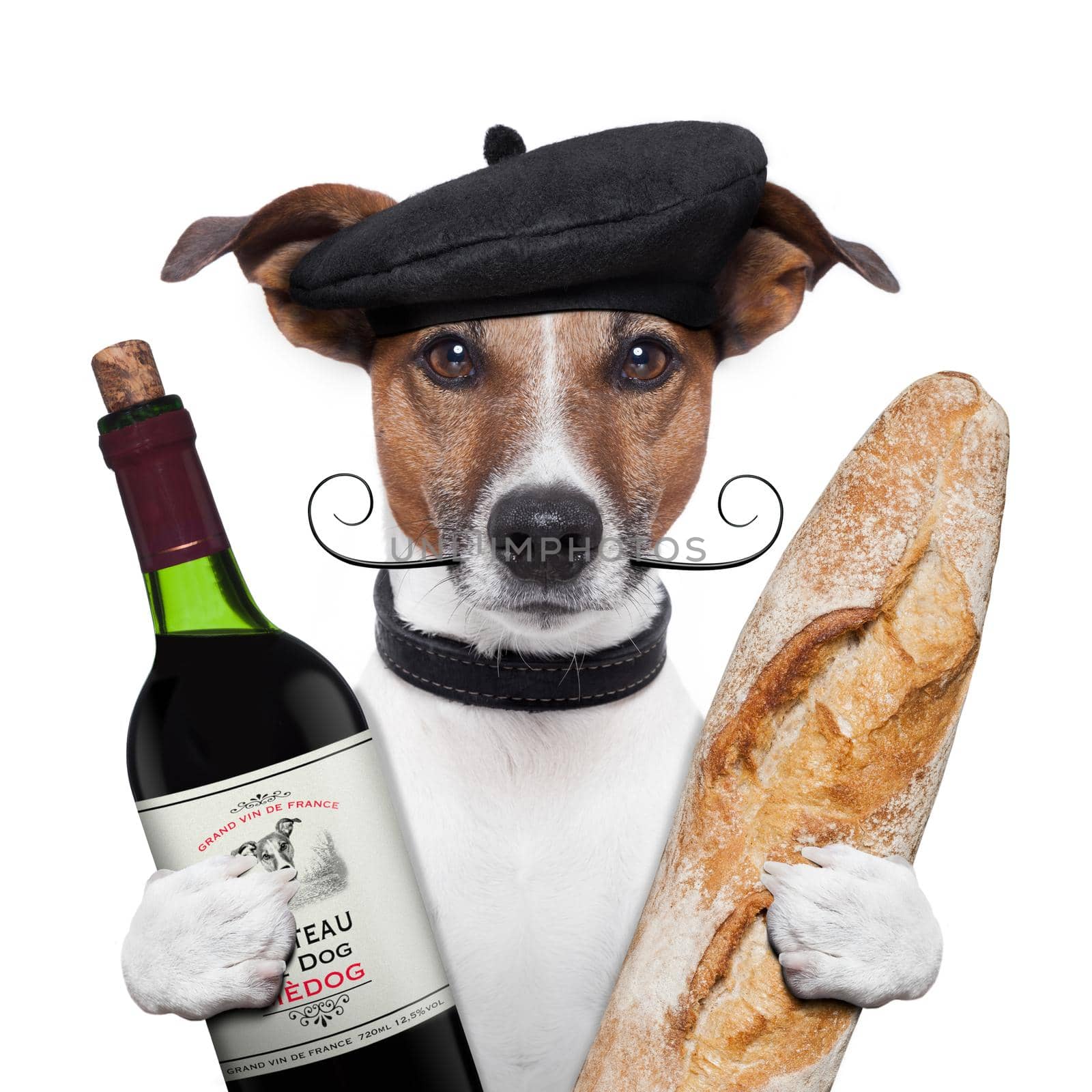 french dog wine baguette beret by Brosch