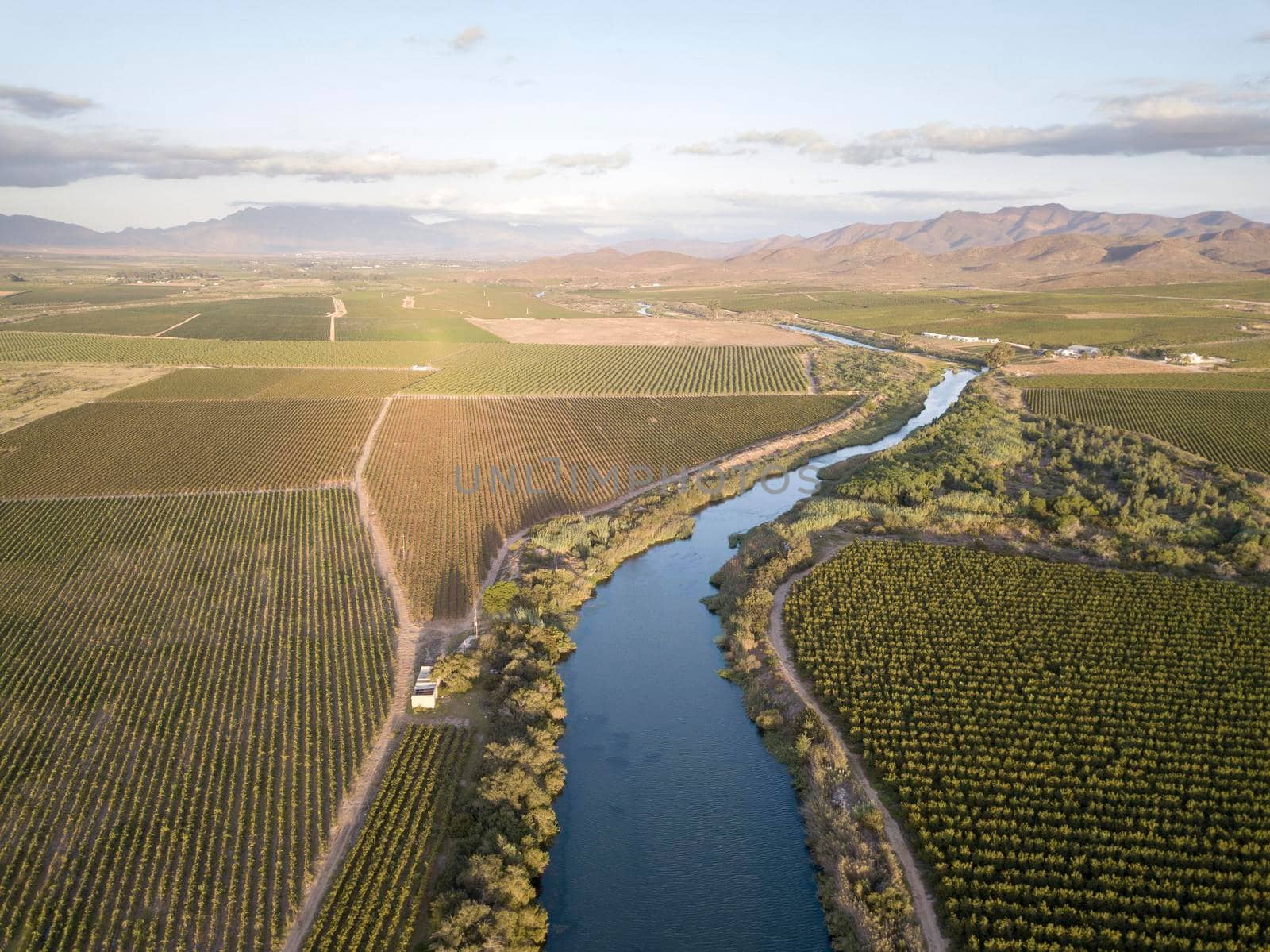 Aerial of big river flowing through vineyards by fivepointsix
