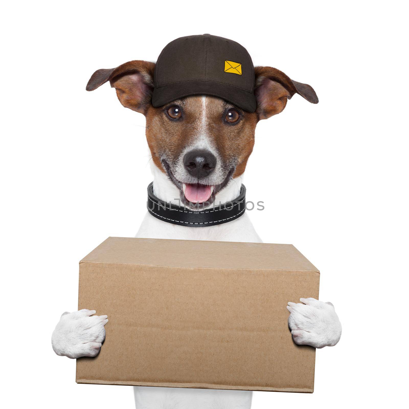 dog delivery post by Brosch