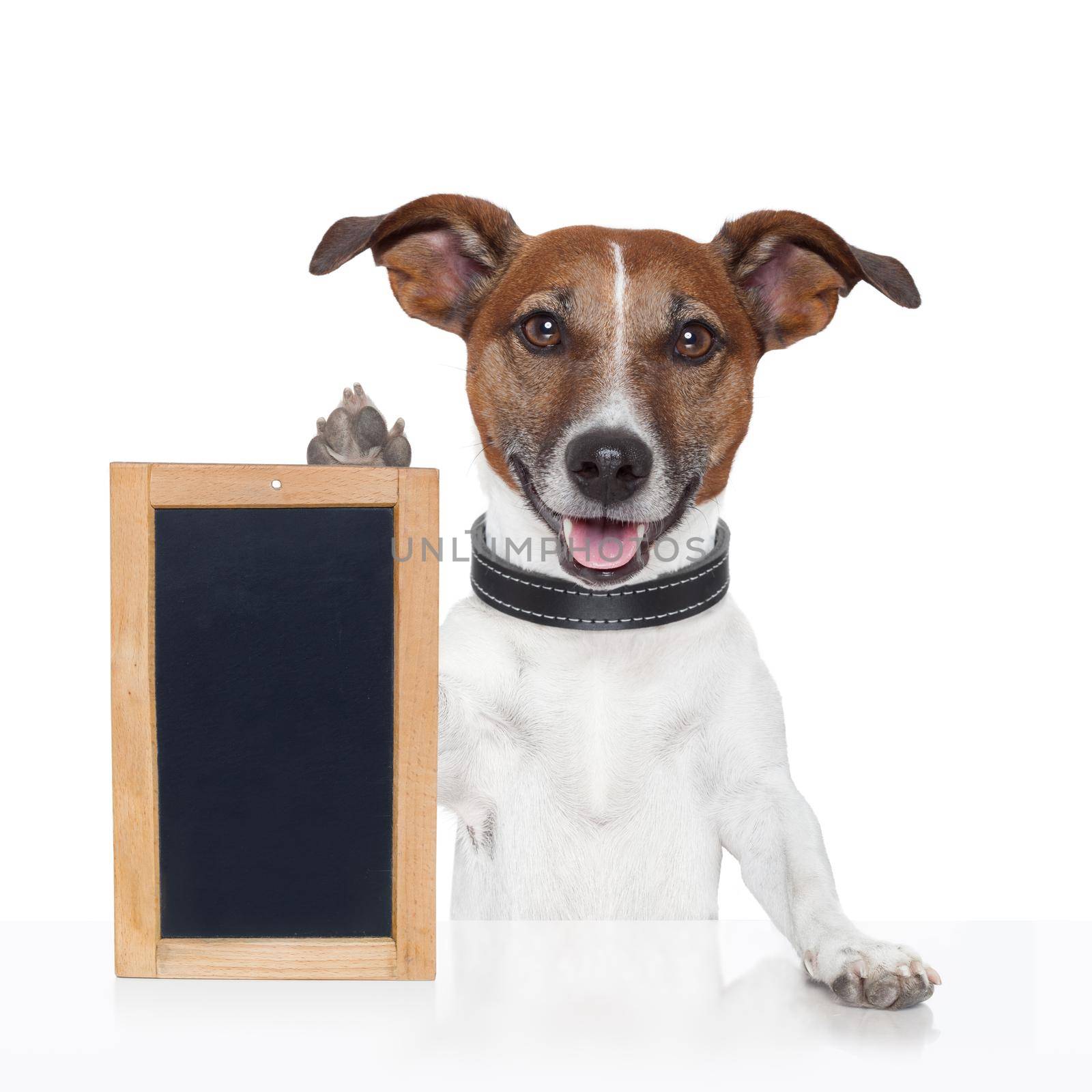 board  placeholder banner dog  by Brosch