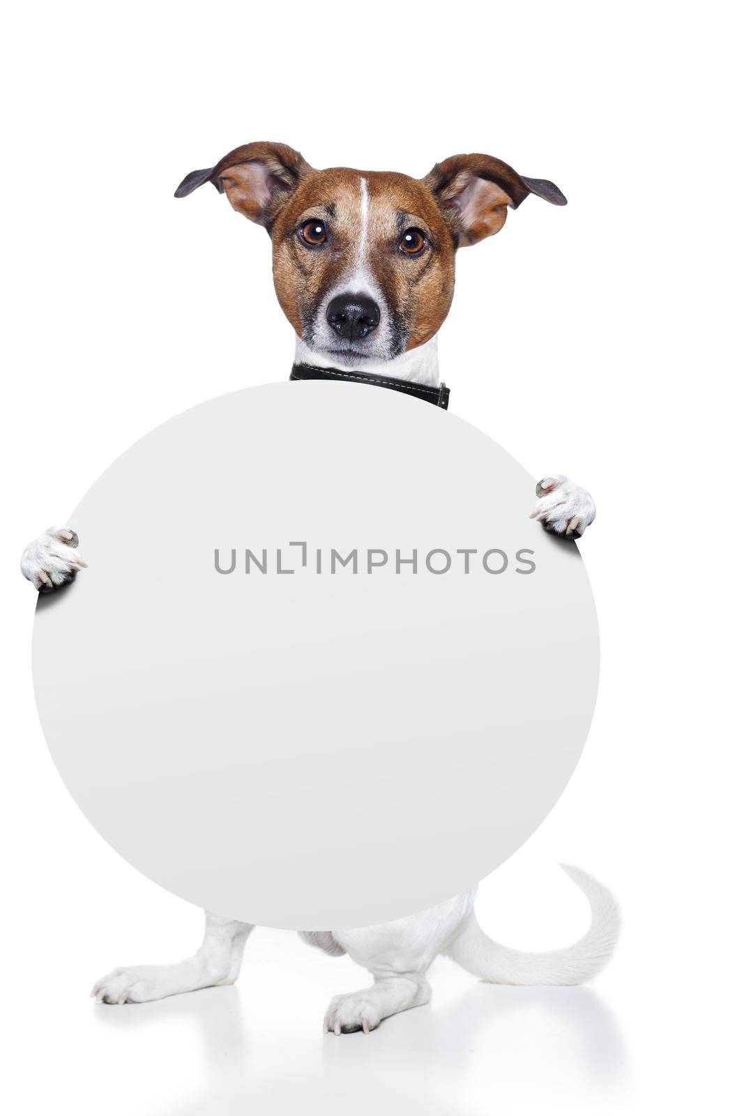 banner placeholder dog