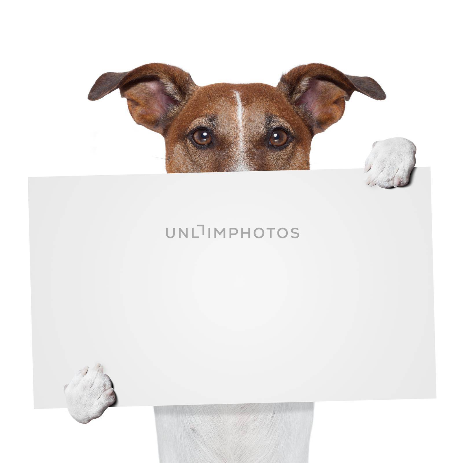 placeholder banner dog by Brosch